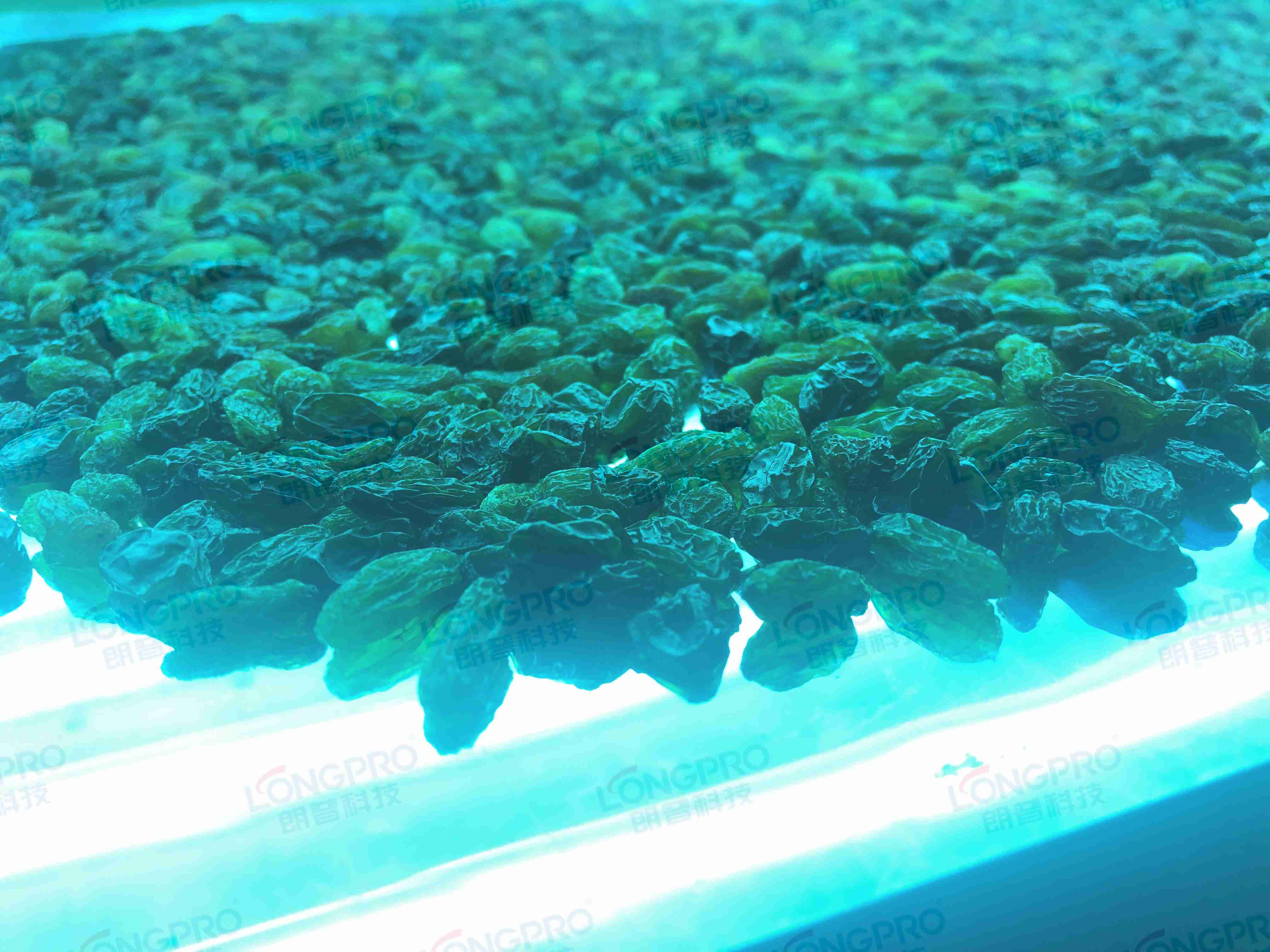 食品細菌超標(biāo)怎么解決？utf-8